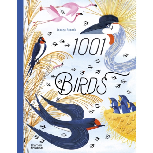 Thames & Hudson Ltd 1001 Birds (inbunden, eng)