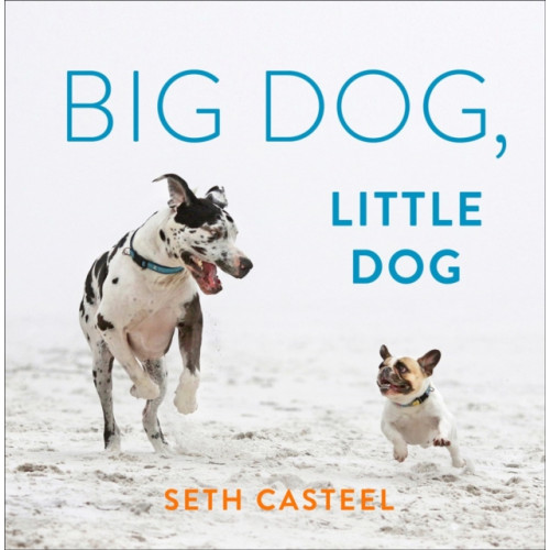 Penguin Putnam Inc Big Dog, Little Dog (inbunden, eng)