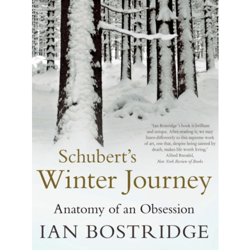 Faber & Faber Schubert's Winter Journey (häftad, eng)