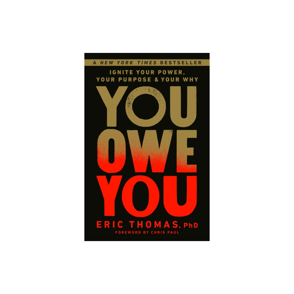 Produktbild för You Owe You (inbunden, eng)