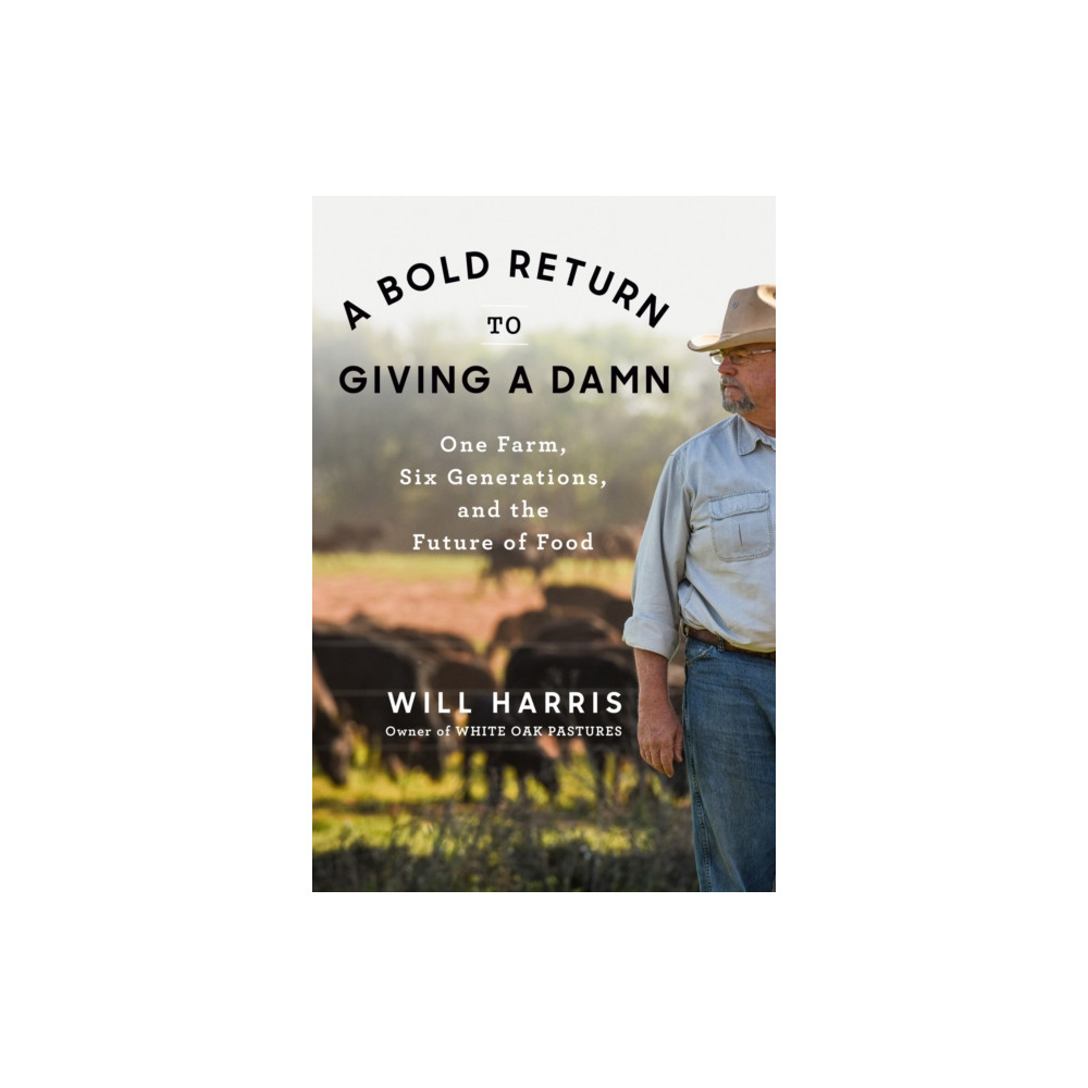 Produktbild för A Bold Return to Giving a Damn (inbunden, eng)