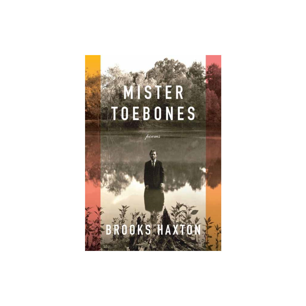 Produktbild för Mister Toebones (inbunden, eng)