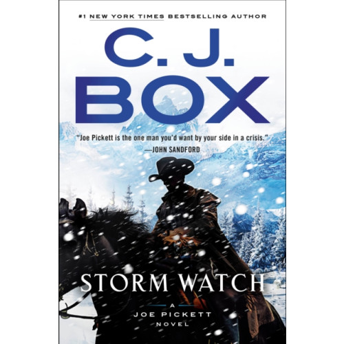 Penguin Publishing Group Storm Watch (inbunden, eng)