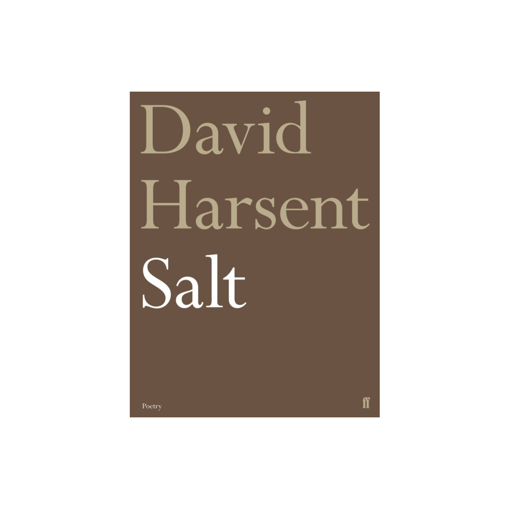 Produktbild för Salt (häftad, eng)