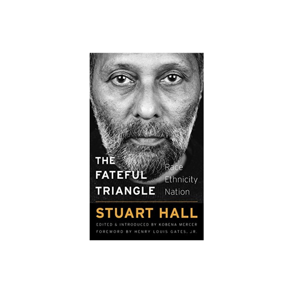 Produktbild för The Fateful Triangle (häftad, eng)