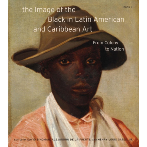 Harvard university press The Image of the Black in Latin American and Caribbean Art (inbunden, eng)