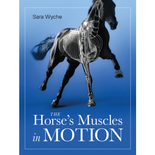 The Crowood Press Ltd Horse's Muscles in Motion (häftad, eng)