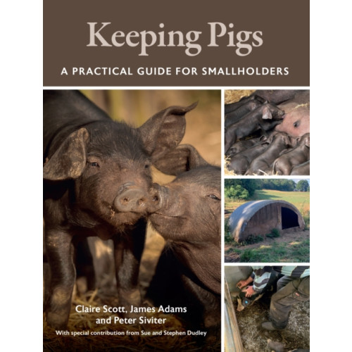 The Crowood Press Ltd Keeping Pigs (häftad, eng)