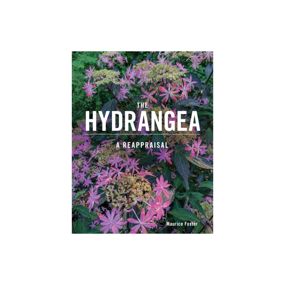 Produktbild för The Hydrangea (inbunden, eng)