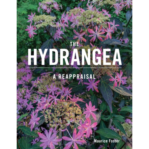The Crowood Press Ltd The Hydrangea (inbunden, eng)
