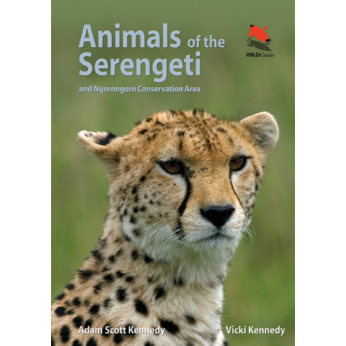 Princeton University Press Animals of the Serengeti (häftad, eng)