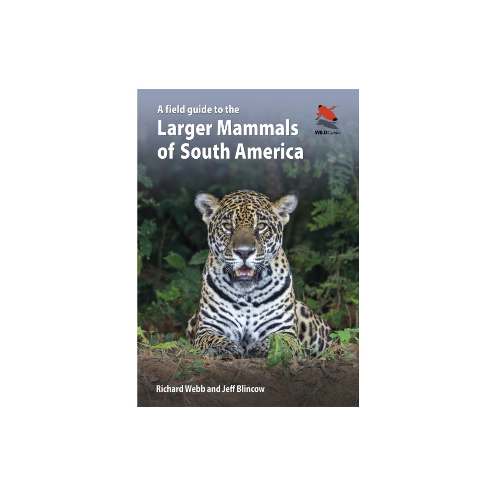 Produktbild för A Field Guide to the Larger Mammals of South America (häftad, eng)