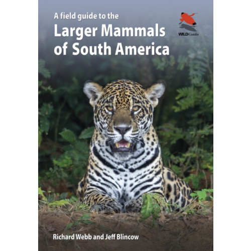 Princeton University Press A Field Guide to the Larger Mammals of South America (häftad, eng)