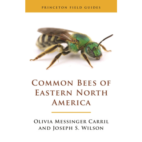 Princeton University Press Common Bees of Eastern North America (häftad, eng)