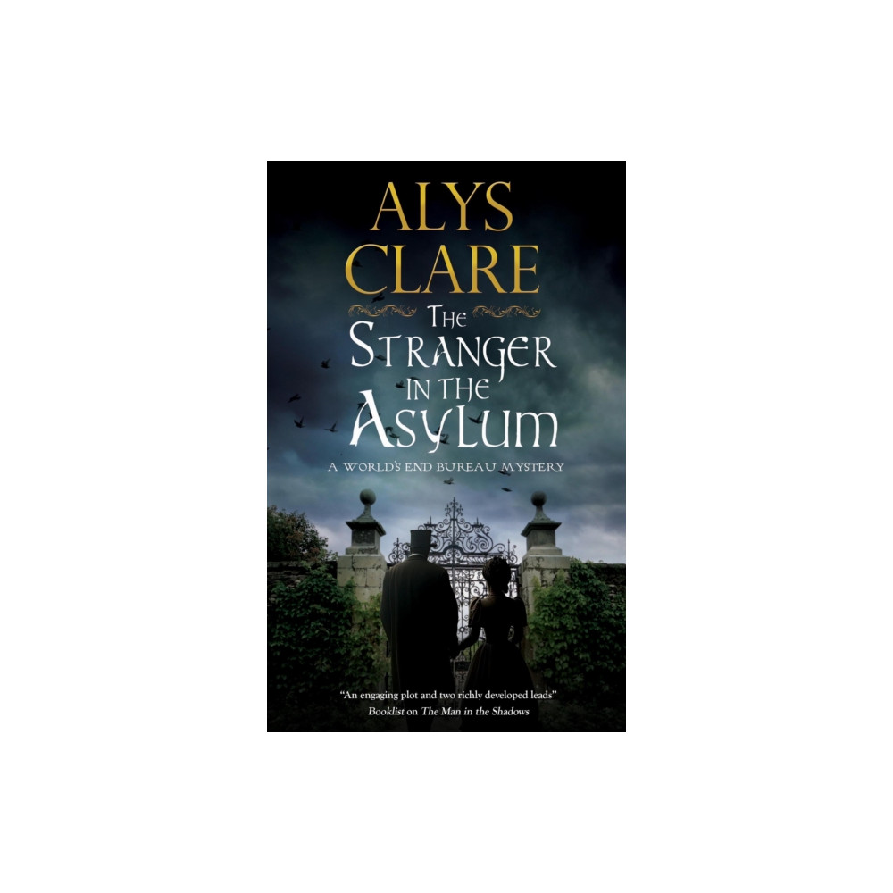 Produktbild för The Stranger in the Asylum (inbunden, eng)