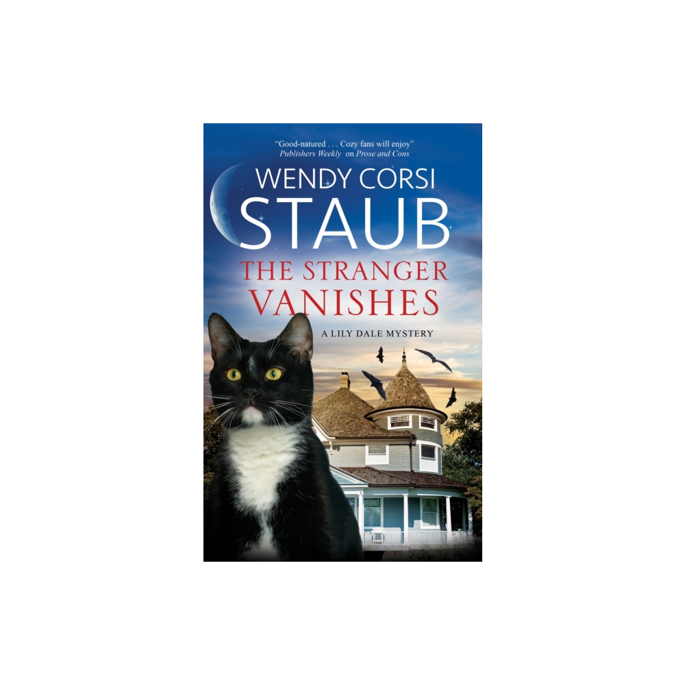 Produktbild för The Stranger Vanishes (inbunden, eng)