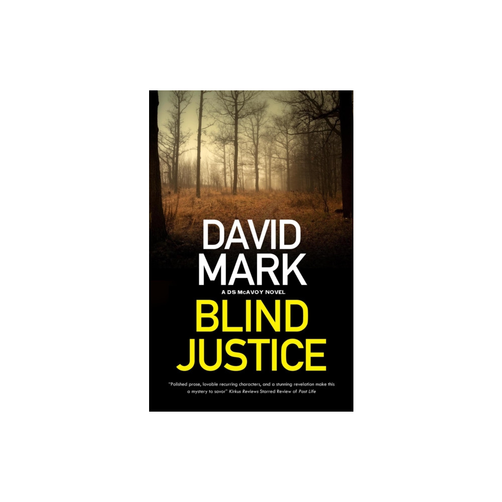 Produktbild för Blind Justice (inbunden, eng)