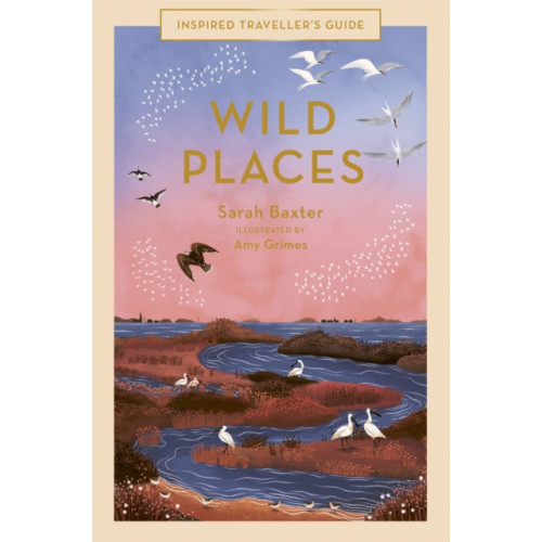 Quarto Publishing Plc Wild Places (inbunden, eng)