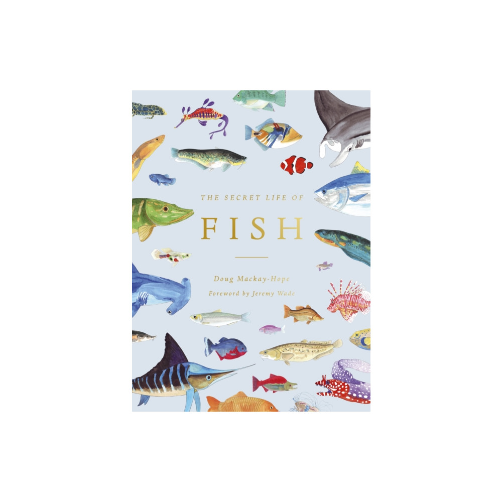 Produktbild för The Secret Life of Fish (inbunden, eng)