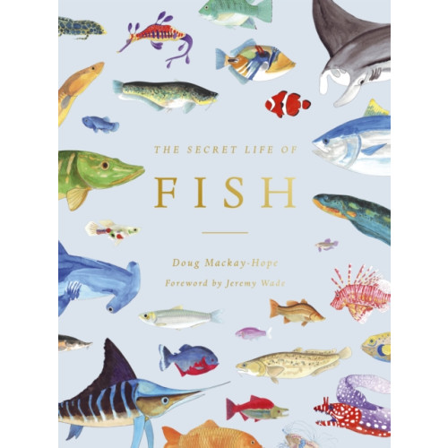 Quarto Publishing Plc The Secret Life of Fish (inbunden, eng)