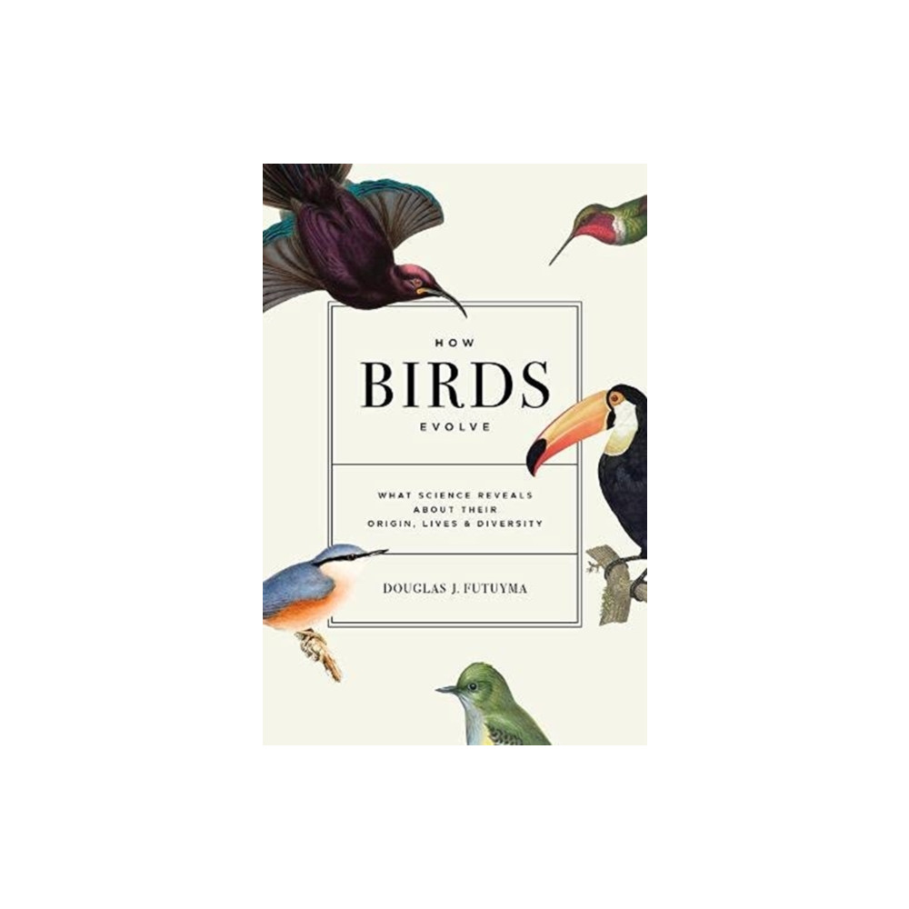 Produktbild för How Birds Evolve (inbunden, eng)
