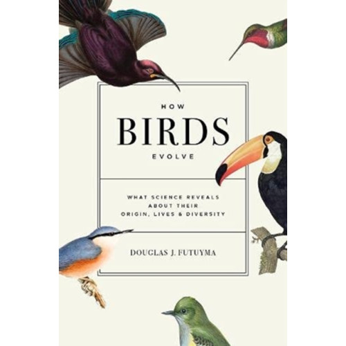 Princeton University Press How Birds Evolve (inbunden, eng)