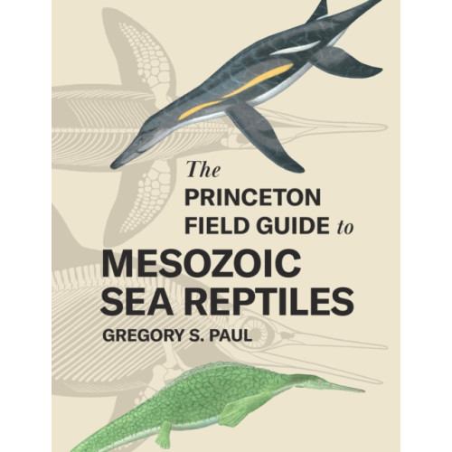 Princeton University Press The Princeton Field Guide to Mesozoic Sea Reptiles (inbunden, eng)