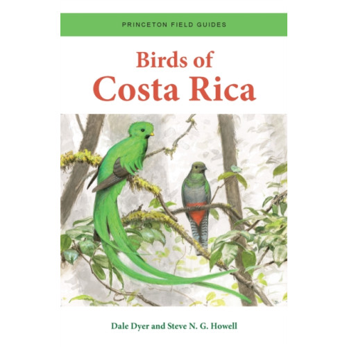 Princeton University Press Birds of Costa Rica (häftad, eng)