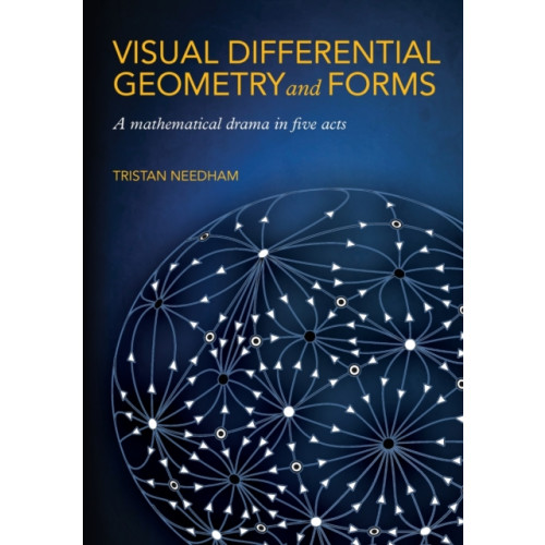 Princeton University Press Visual Differential Geometry and Forms (häftad, eng)