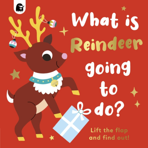 Quarto Publishing Plc What is Reindeer Going to do? (bok, board book, eng)