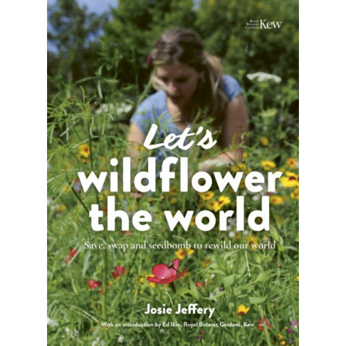 Quarto Publishing Plc Let's Wildflower the World (häftad, eng)