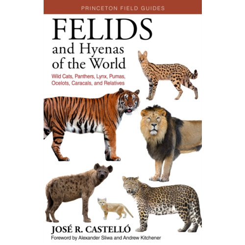 Princeton University Press Felids and Hyenas of the World (häftad, eng)