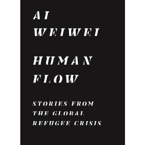 Princeton University Press Human Flow (häftad, eng)