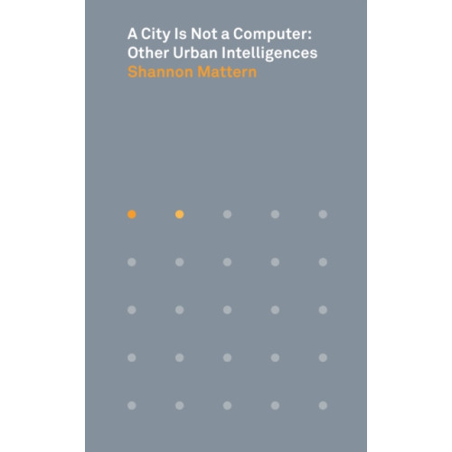 Princeton University Press A City Is Not a Computer (häftad, eng)