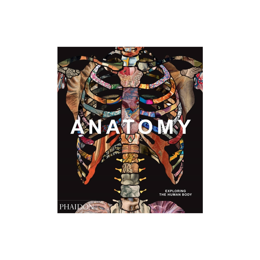 Produktbild för Anatomy (inbunden, eng)