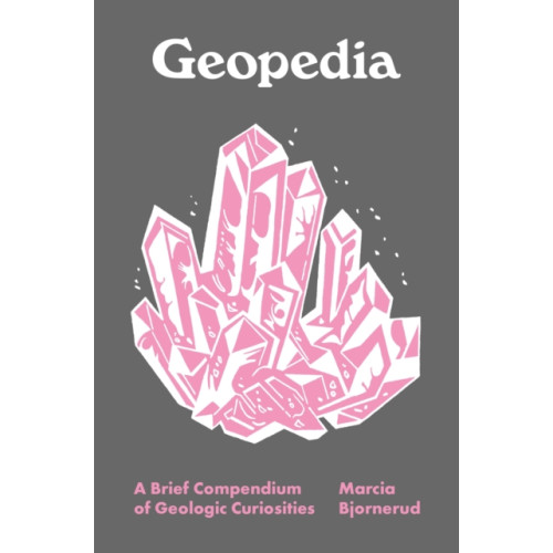 Princeton University Press Geopedia (inbunden, eng)