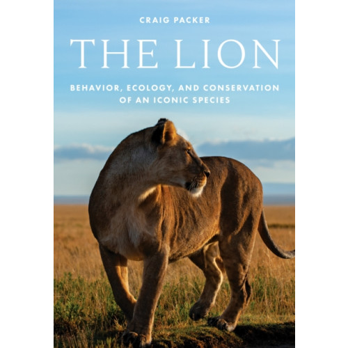 Princeton University Press The Lion (inbunden, eng)