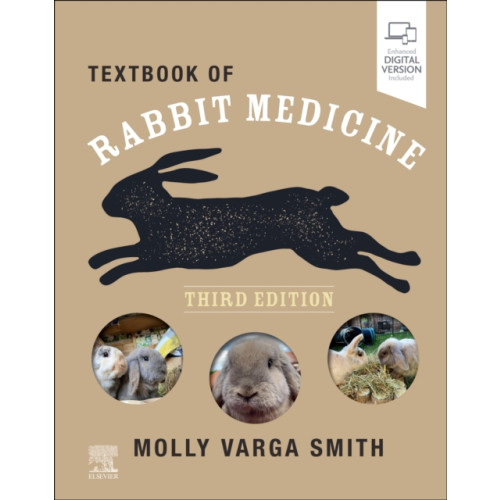 Elsevier Health Sciences Textbook of Rabbit Medicine (häftad, eng)