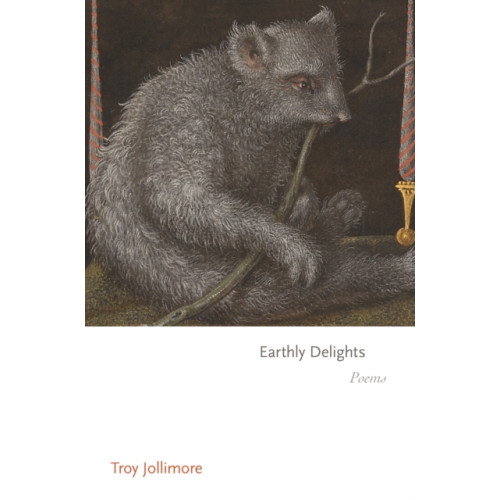 Princeton University Press Earthly Delights (häftad, eng)