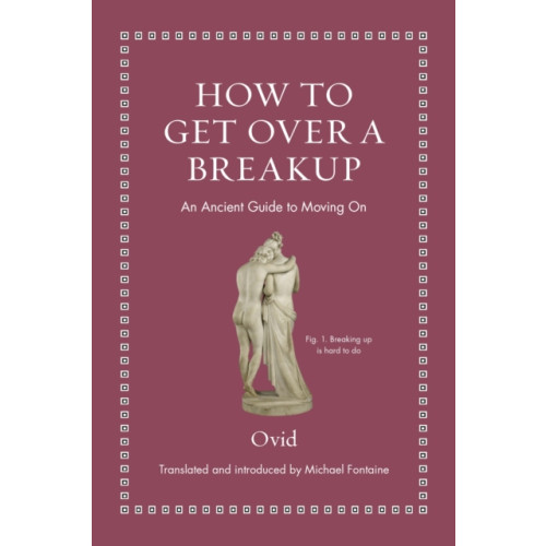 Princeton University Press How to Get Over a Breakup (inbunden, eng)