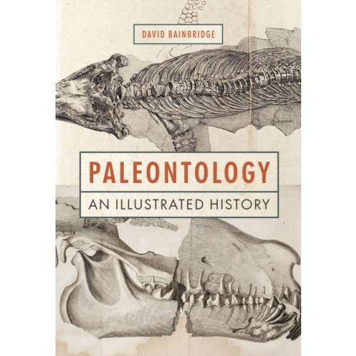 Princeton University Press Paleontology (inbunden, eng)