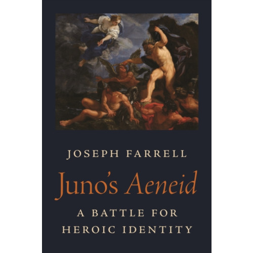 Princeton University Press Juno's Aeneid (häftad, eng)