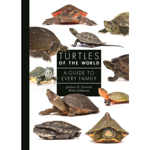 Princeton University Press Turtles of the World (inbunden, eng)