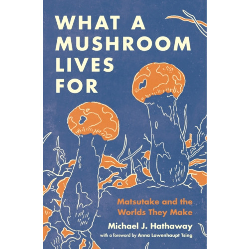 Princeton University Press What a Mushroom Lives For (häftad, eng)