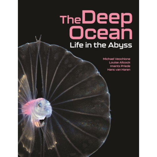 Princeton University Press The Deep Ocean (inbunden, eng)