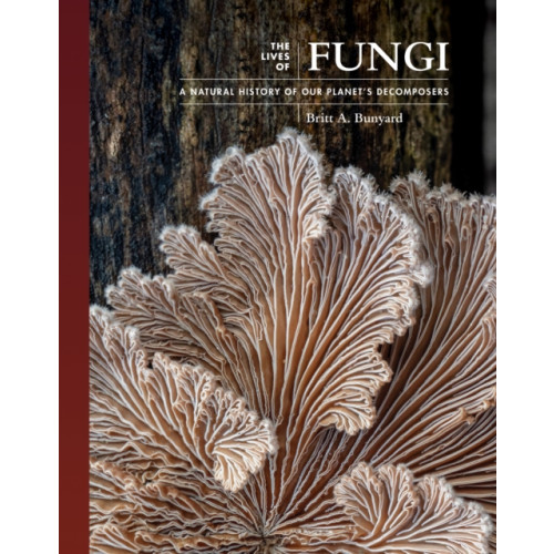 Princeton University Press The Lives of Fungi (inbunden, eng)