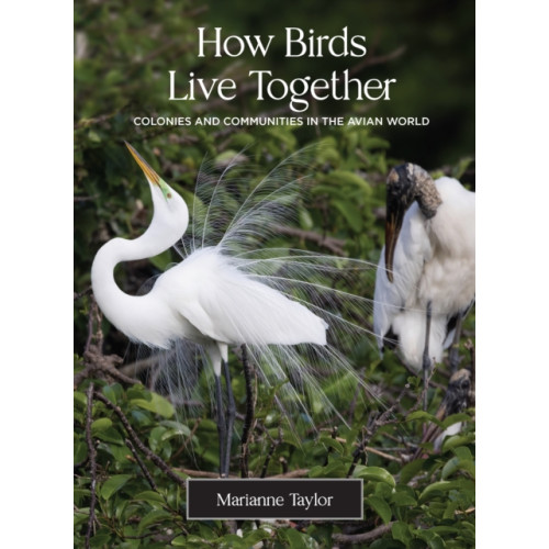 Princeton University Press How Birds Live Together (inbunden, eng)