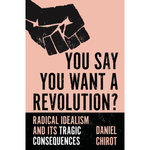 Princeton University Press You Say You Want a Revolution? (häftad, eng)