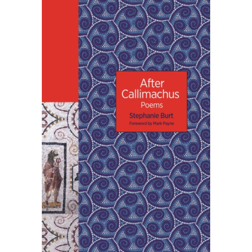 Princeton University Press After Callimachus (häftad, eng)