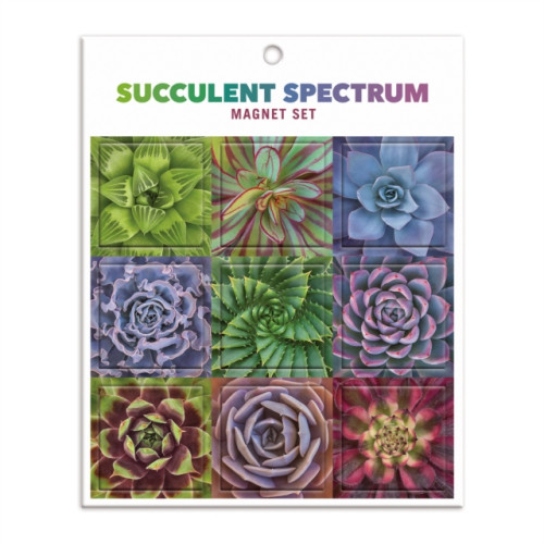 Galison Succulent Spectrum Magnet Set